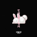 PinkPantheress x NewJeans Type Beat - "CHERISH" | Aesthetic 2-Step / Y2K Pop UKG 2026